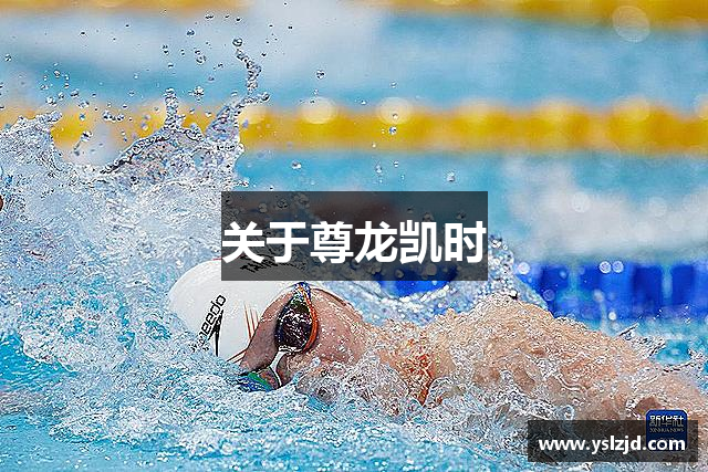 关于尊龙凯时